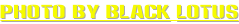 shapeimage_14_link_0